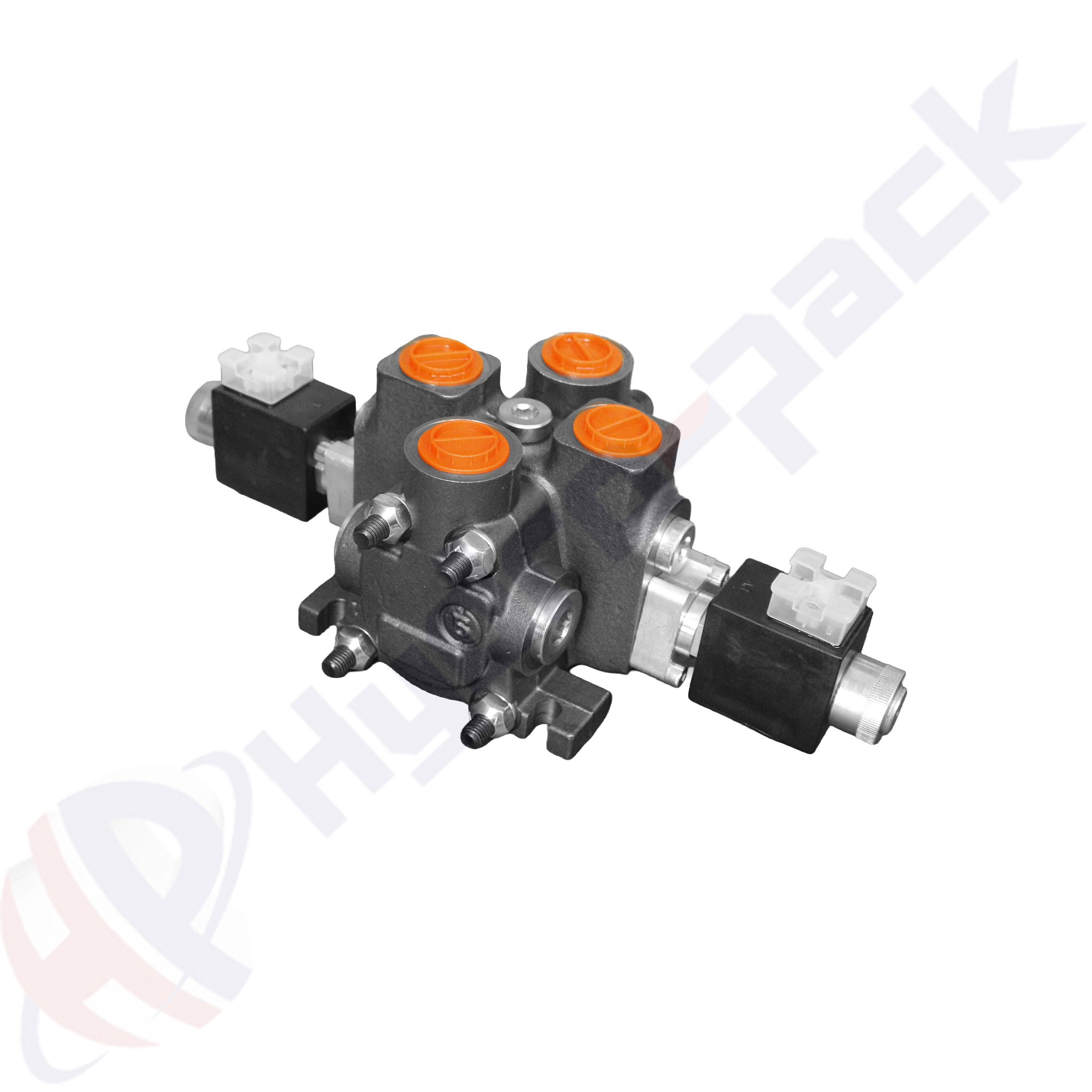 ZC100N2/AES3/T2-G2-12V Sectional Control Valve
