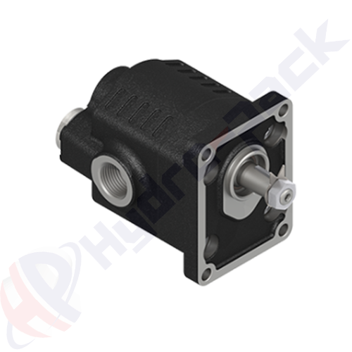 K-A-EDNA-25-BD Group 20 Cast Iron Pump