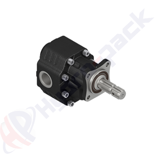 ASAE-GANI-151-L Group 40 Cast Iron Pump
