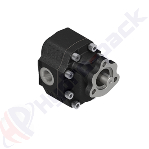 UNI-EHASS-27-R Group 30 Cast Iron Pump