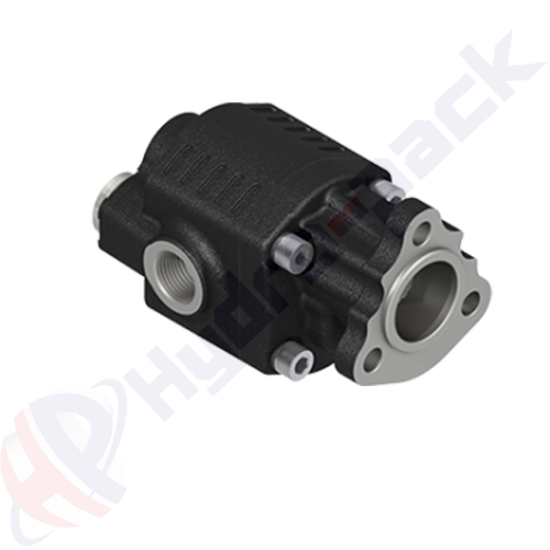UNI-EDNA-6-BD Group 20 Cast Iron Pump