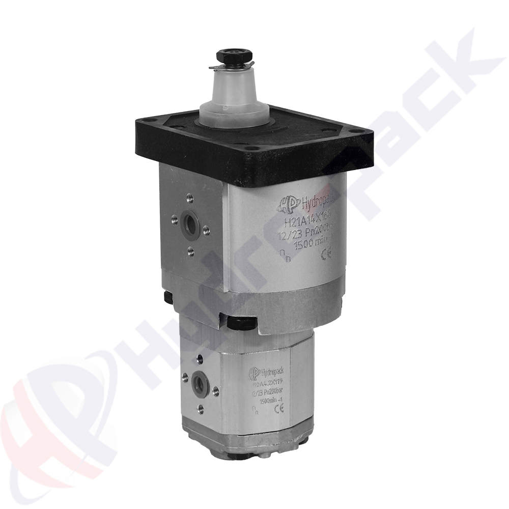 21C17X168/1.6X179 Group 20+10 Tandem Pump