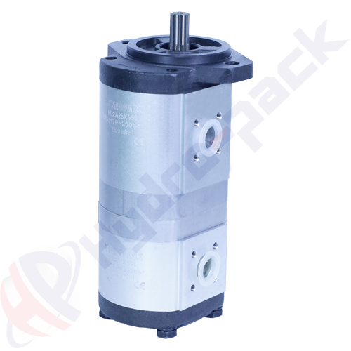 22A25X468/11X161 Group 20+20 Tandem Pump