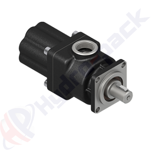 ISO-K-ISRAK-20-BD Cast Iron Pump (8 Pistons)