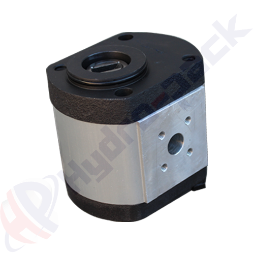 20A19X127 Group 20 Hydraulic Gear Pump