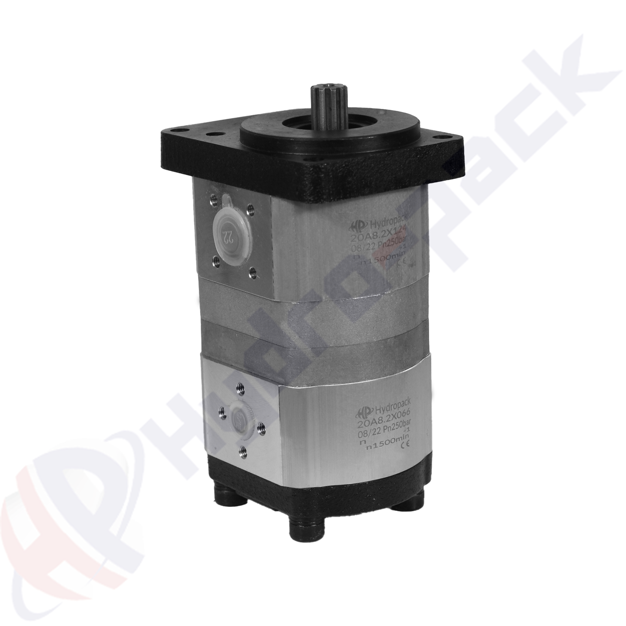 22A8.2X124/8.2X066 Group 20+20 Tandem Pump